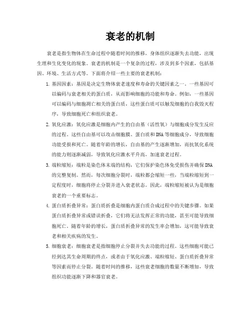 衰老的机制