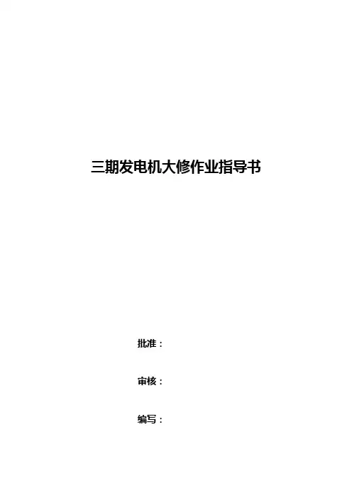 三期发电机大修作业指导书修改版