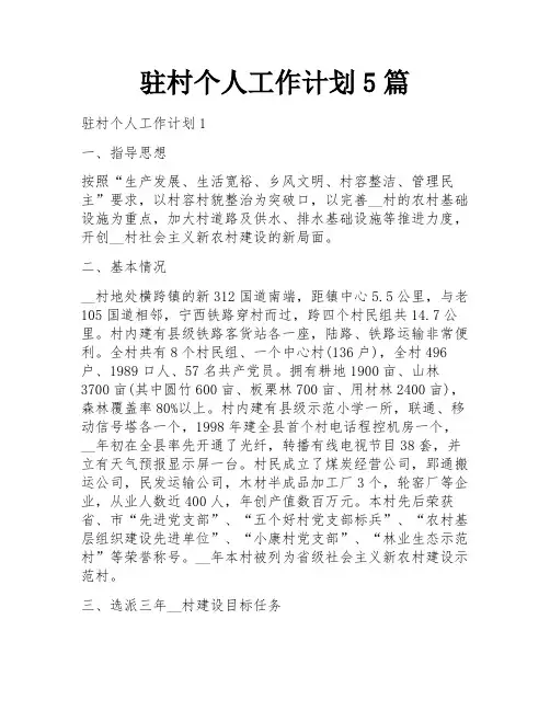 驻村个人工作计划5篇
