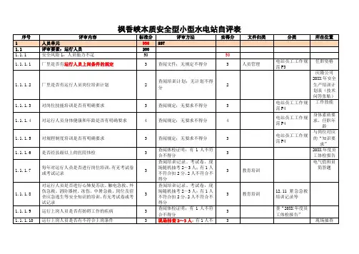 表格模板-本质安全型小型水电站表归类 精品