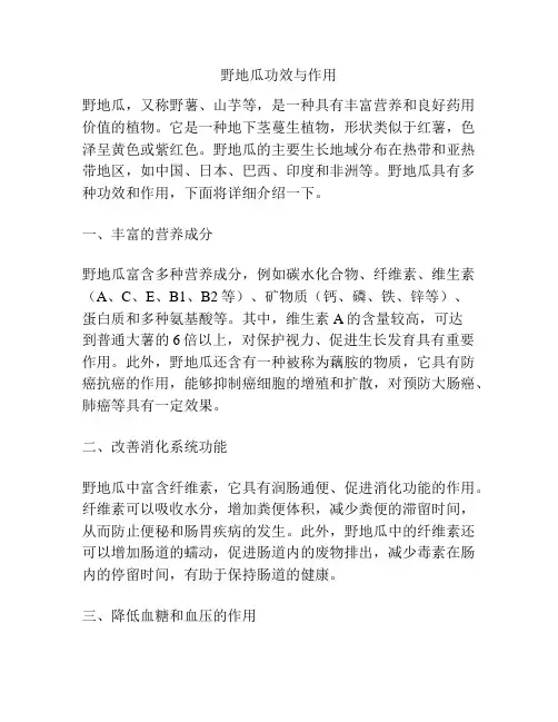 野地瓜功效与作用