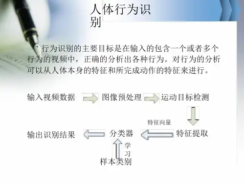 人体行为识别介绍讲解