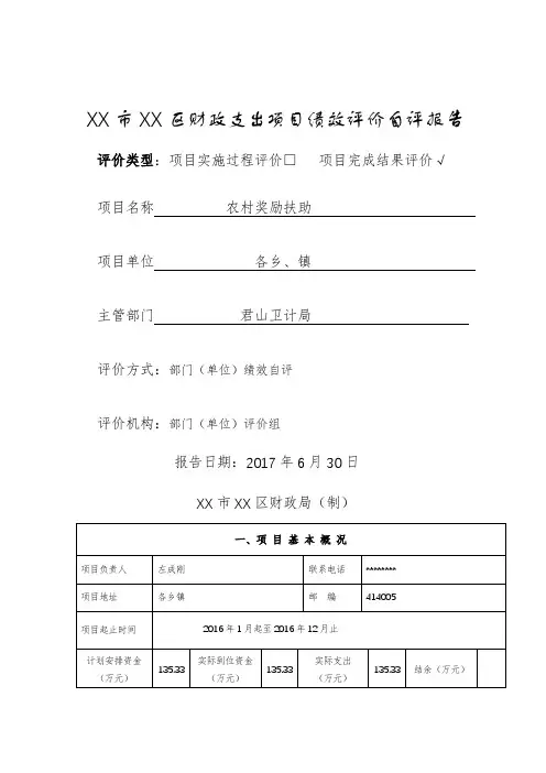 XX市XX区财政支出项目绩效评价自评报告【模板】