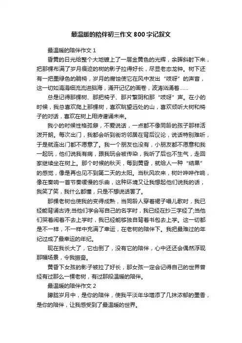 最温暖的陪伴初三作文800字记叙文