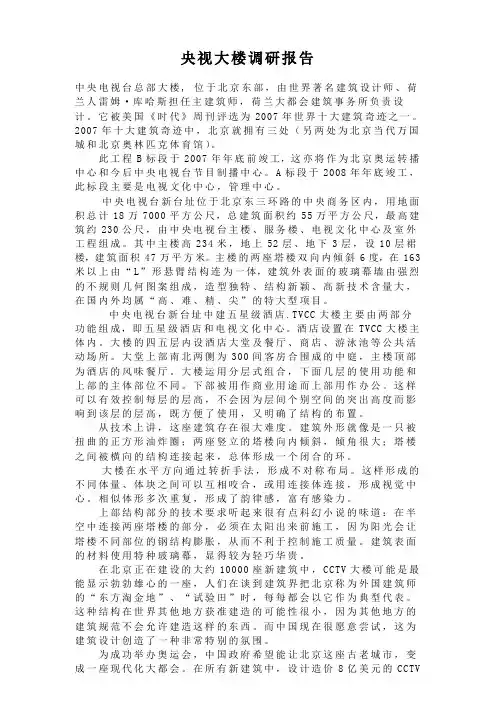 央视大楼调研报告