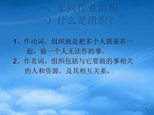 作业组织与人员配置概述