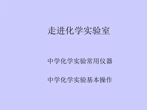 初中化学九年级上册人教版 第一单元课题3 走进化学实验室(共30张PPT)