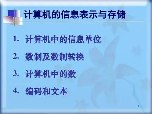 计算机信息表示与存储