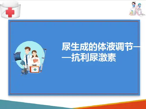 泌尿系统—尿生成的调节(人体结构与功能课件)