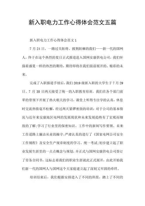 新入职电力工作心得体会范文五篇