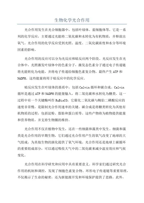 生物化学光合作用