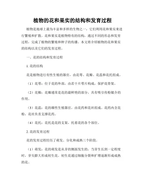 植物的花和果实的结构和发育过程