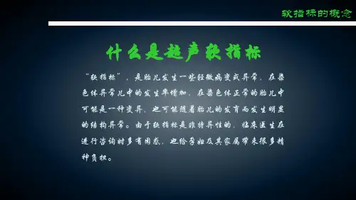 超声软指标