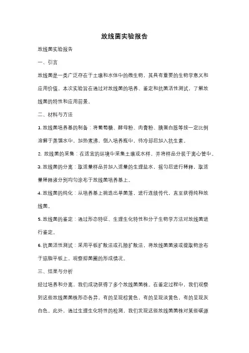 放线菌实验报告