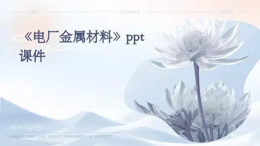 《电厂金属材料》课件