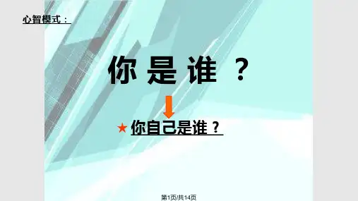 高效团队之心智模式PPT课件