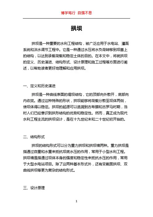 拱坝_精品文档