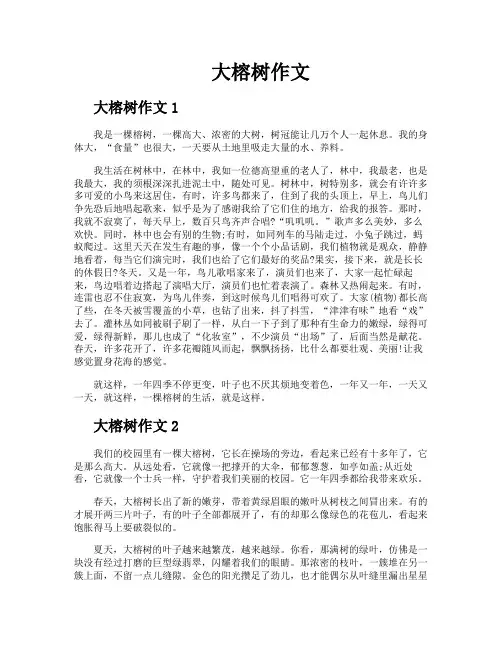 大榕树作文