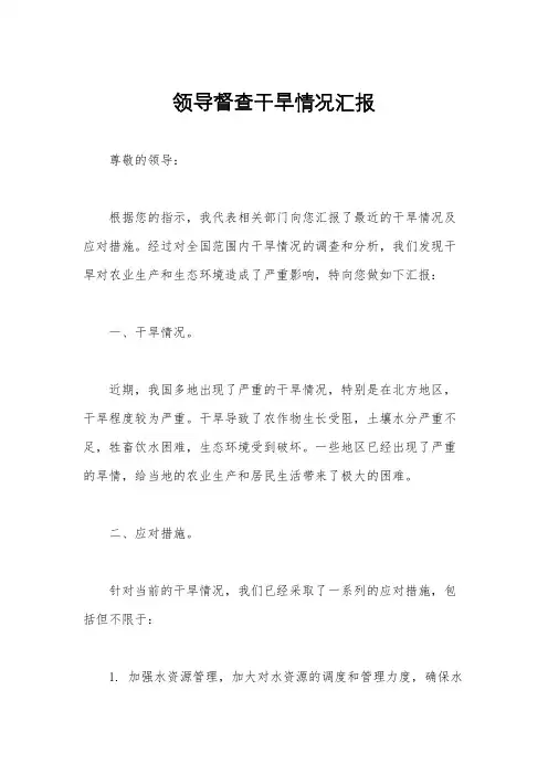 领导督查干旱情况汇报