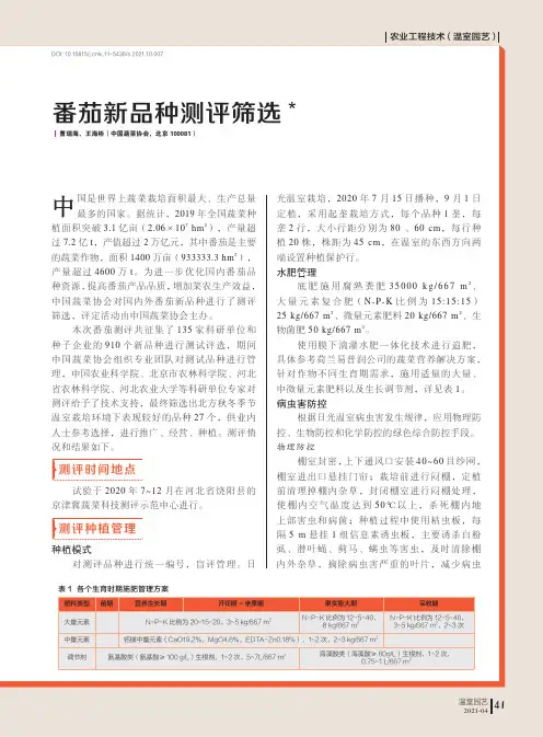 番茄新品种测评筛选