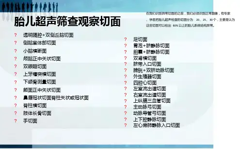 胎儿三维超声筛查标准切面