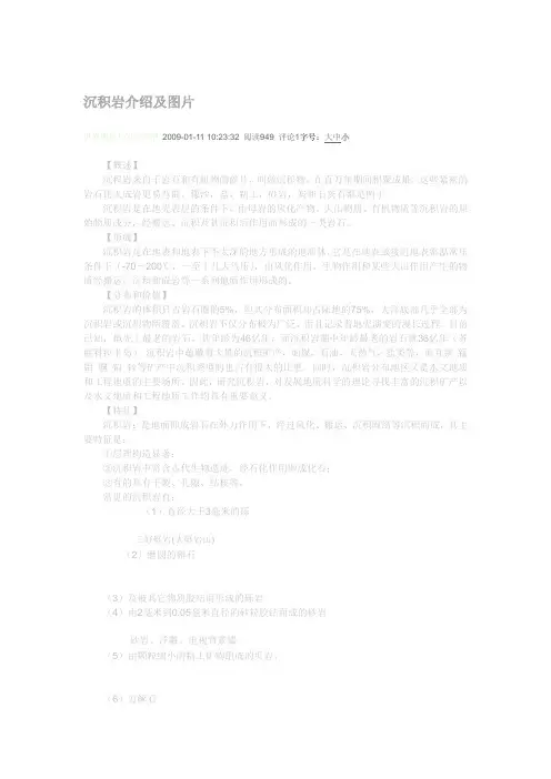 沉积岩介绍及图片