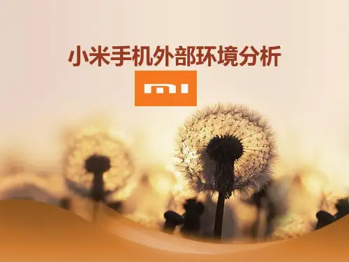 小米手机外部环境分析