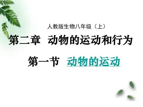 人教 初中生物八年级上册第五单元第二章第一节 动物的运动31张ppt