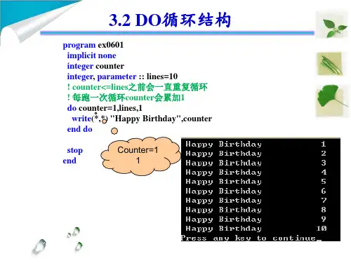Fortran PPT课件1 (9)DO循环结构