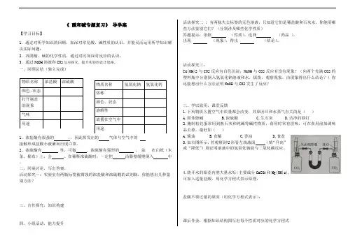 2024年中考化学二轮专题复习导学案---酸和碱专题复习导学案