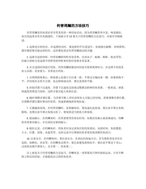 钓青尾鲴的方法技巧