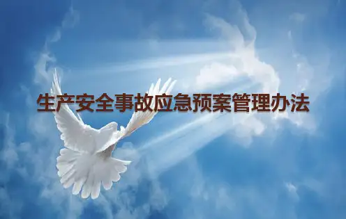 生产安全事故应急预案管理办法PPT课件