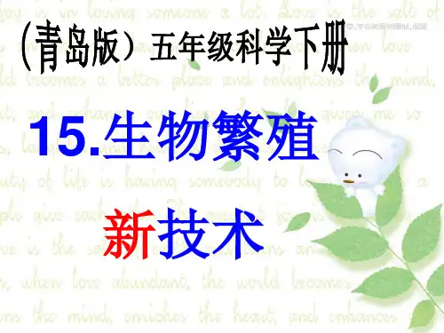 生物繁殖新技术课件PPT下载2 青岛版科学五年级下册课件