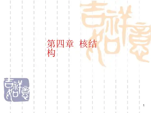 第四章-核结构课件
