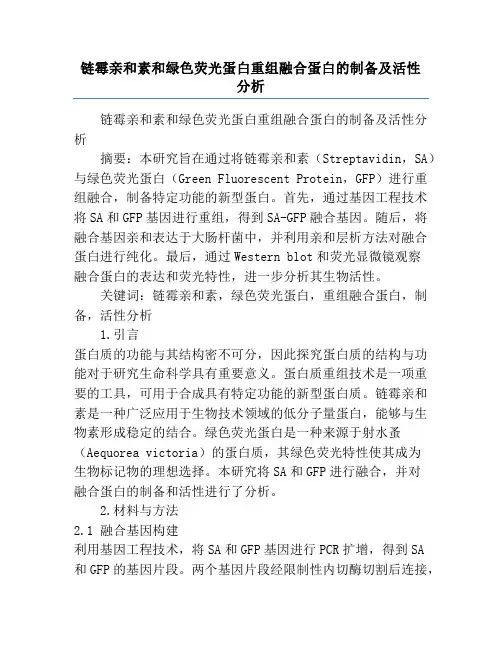 链霉亲和素和绿色荧光蛋白重组融合蛋白的制备及活性分析