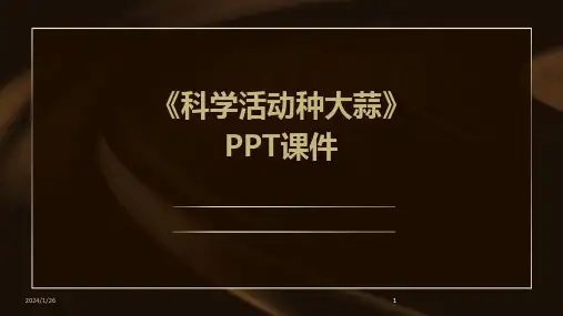 2024版《科学活动种大蒜》PPT课件