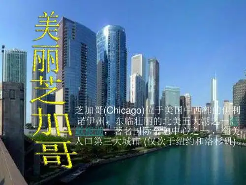 美国芝加哥