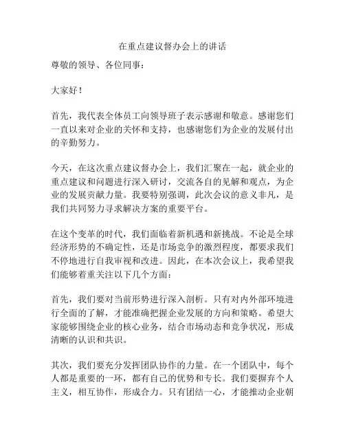 在重点建议督办会上的讲话