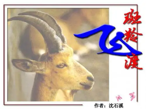 七年级下册《斑羚飞渡》公开课课件