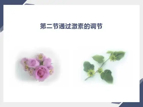 通过激素调节(第一轮复习)