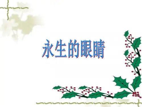 永生的眼睛完美版ppt课件