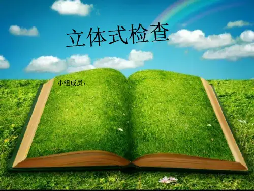 立体式检查