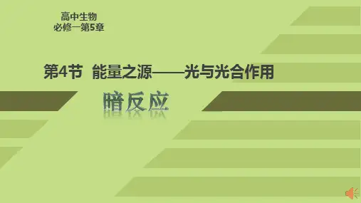 能量之源-光与光合作用 高中生物必修一教学课件PPT 人教版