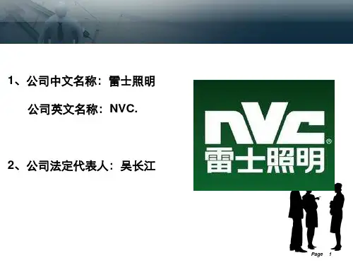 雷士照明案例分析33页PPT