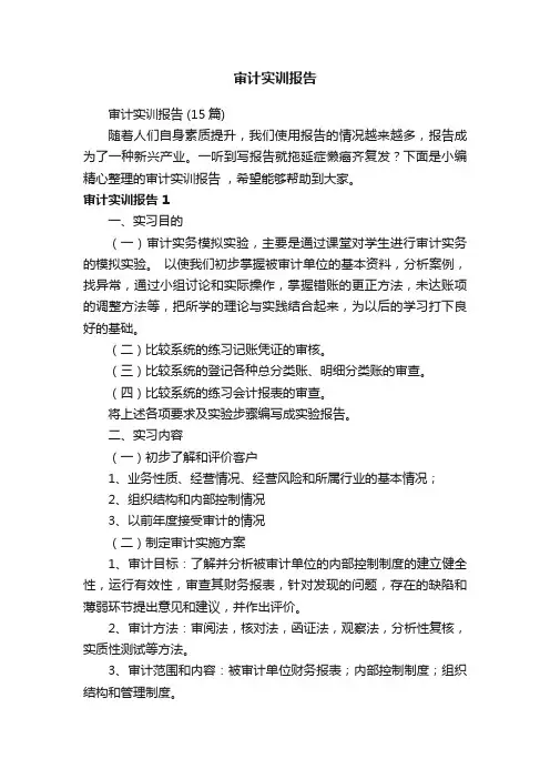 审计实训报告（15篇）