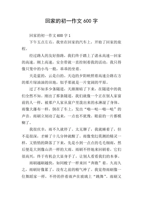 回家的初一作文600字