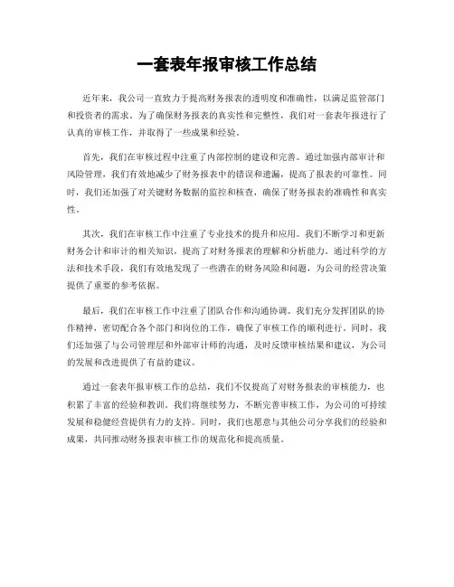 一套表年报审核工作总结