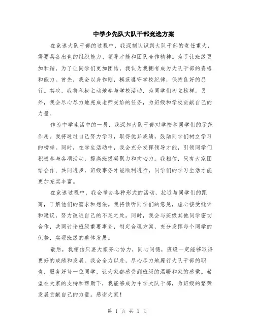 中学少先队大队干部竞选方案
