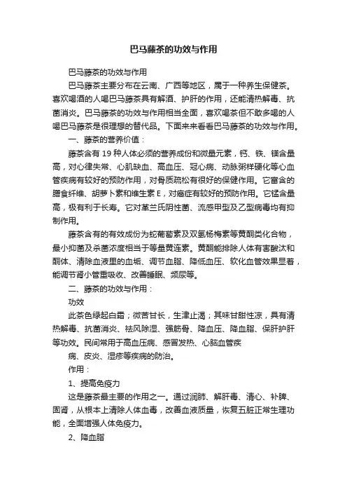 巴马藤茶的功效与作用