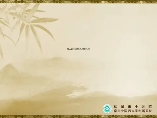 SBAR沟通模式PPT课件